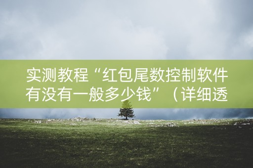 实测教程“红包尾数控制软件有没有一般多少钱”（详细透视教程）-哔哩哔哩