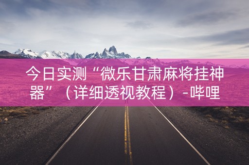 今日实测“微乐甘肃麻将挂神器”（详细透视教程）-哔哩哔哩