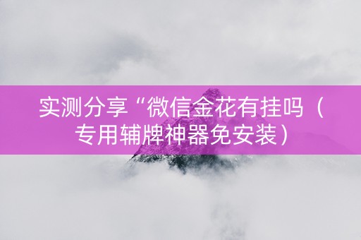 实测分享“微信金花有挂吗（专用辅牌神器免安装）