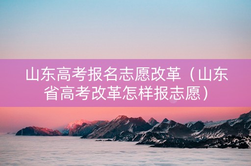 山东高考报名志愿改革（山东省高考改革怎样报志愿）
