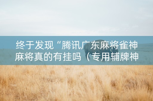 终于发现“腾讯广东麻将雀神麻将真的有挂吗（专用辅牌神器免安装）