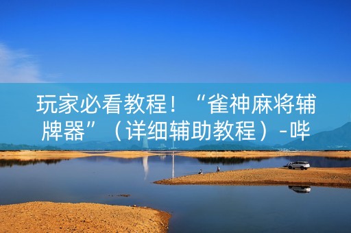 玩家必看教程！“雀神麻将辅牌器”（详细辅助教程）-哔哩哔哩