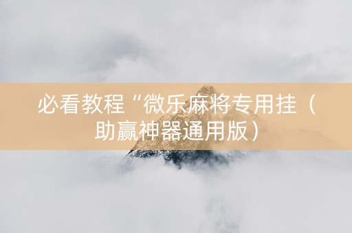 必看教程“微乐麻将专用挂（助赢神器通用版）