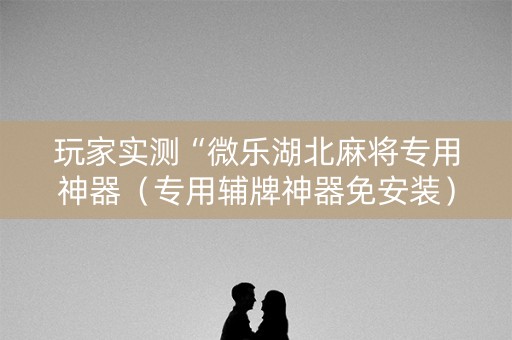 玩家实测“微乐湖北麻将专用神器（专用辅牌神器免安装）