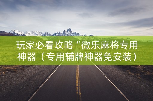 玩家必看攻略“微乐麻将专用神器（专用辅牌神器免安装）
