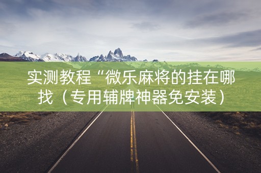 实测教程“微乐麻将的挂在哪找（专用辅牌神器免安装）