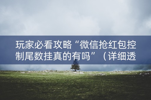 玩家必看攻略“微信抢红包控制尾数挂真的有吗”（详细透视教程）-哔哩哔哩