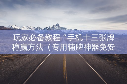 玩家必备教程“手机十三张牌稳赢方法（专用辅牌神器免安装）