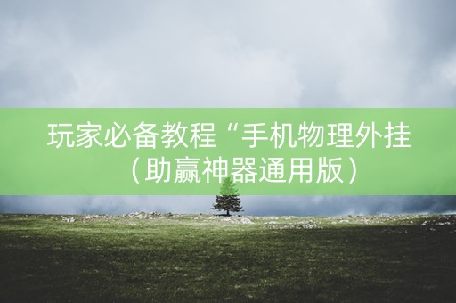 玩家必备教程“手机物理外挂（助赢神器通用版）