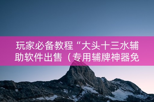 玩家必备教程“大头十三水辅助软件出售（专用辅牌神器免安装）