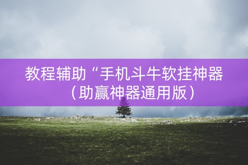 教程辅助“手机斗牛软挂神器（助赢神器通用版）
