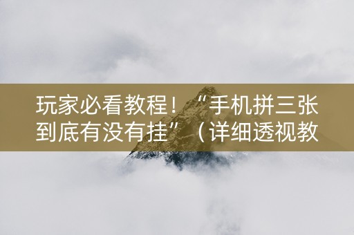玩家必看教程！“手机拼三张到底有没有挂”（详细透视教程）-哔哩哔哩