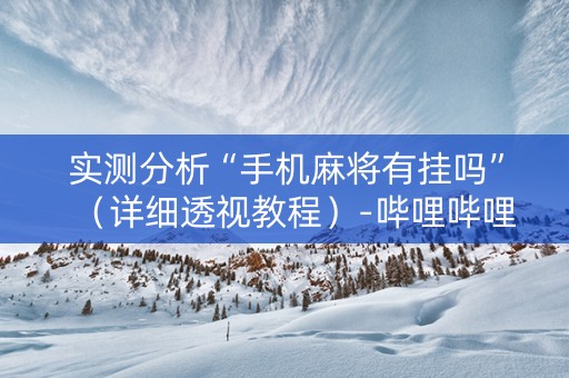 实测分析“手机麻将有挂吗”（详细透视教程）-哔哩哔哩
