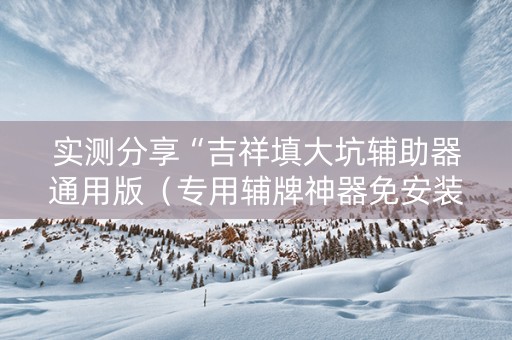 实测分享“吉祥填大坑辅助器通用版（专用辅牌神器免安装）