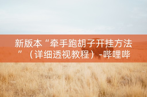新版本“牵手跑胡子开挂方法”（详细透视教程）-哔哩哔哩