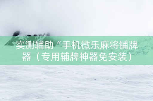 实测辅助“手机微乐麻将铺牌器（专用辅牌神器免安装）