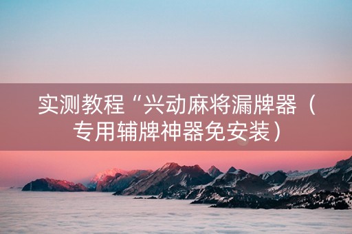 实测教程“兴动麻将漏牌器（专用辅牌神器免安装）