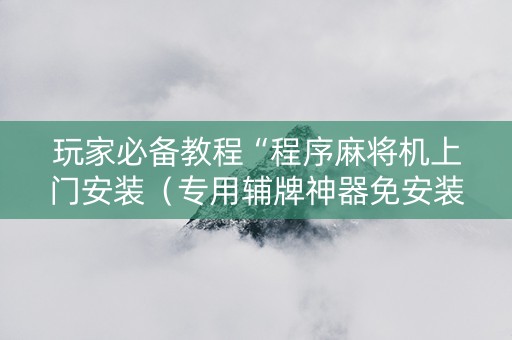 玩家必备教程“程序麻将机上门安装（专用辅牌神器免安装）