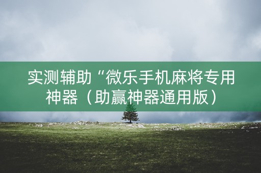 实测辅助“微乐手机麻将专用神器（助赢神器通用版）