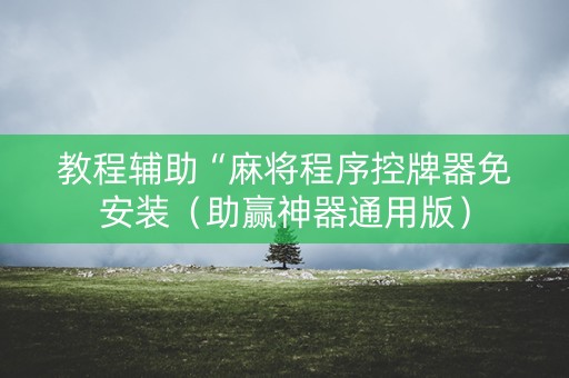 教程辅助“麻将程序控牌器免安装（助赢神器通用版）