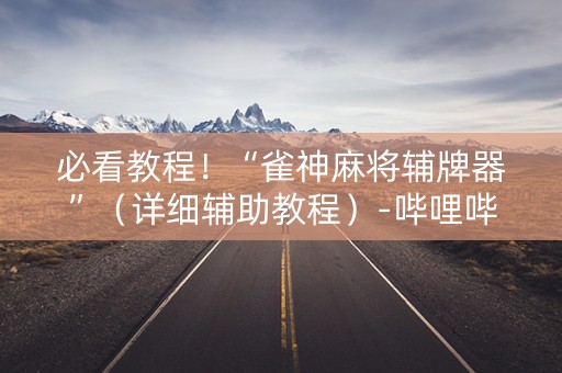 必看教程！“雀神麻将辅牌器”（详细辅助教程）-哔哩哔哩
