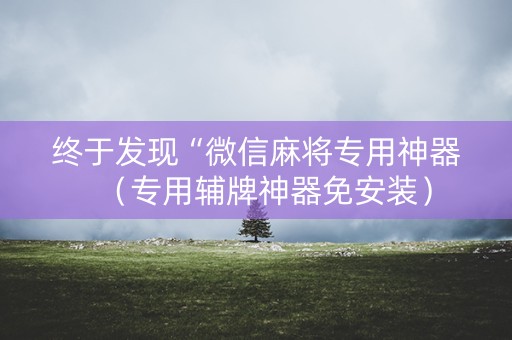 终于发现“微信麻将专用神器（专用辅牌神器免安装）
