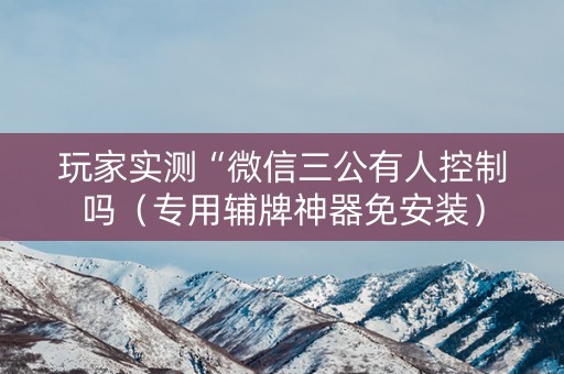 玩家实测“微信三公有人控制吗（专用辅牌神器免安装）