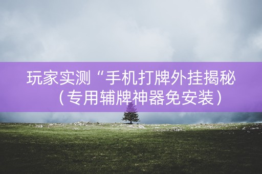 玩家实测“手机打牌外挂揭秘（专用辅牌神器免安装）