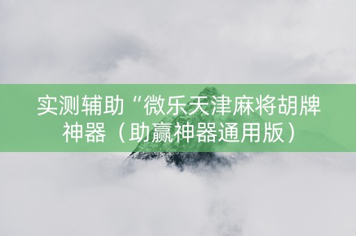 实测辅助“微乐天津麻将胡牌神器（助赢神器通用版）