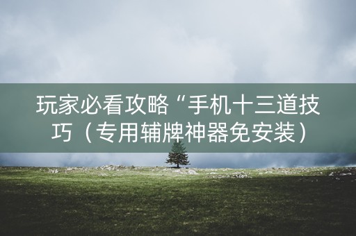玩家必看攻略“手机十三道技巧（专用辅牌神器免安装）