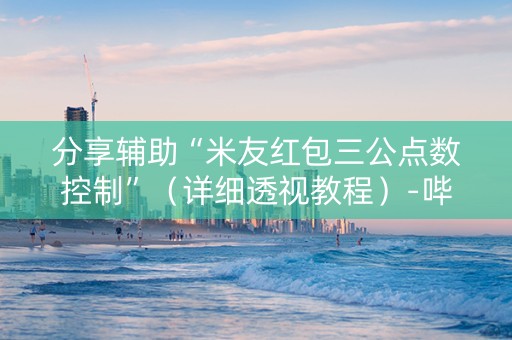 分享辅助“米友红包三公点数控制”（详细透视教程）-哔哩哔哩