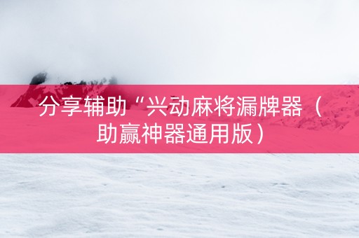 分享辅助“兴动麻将漏牌器（助赢神器通用版）