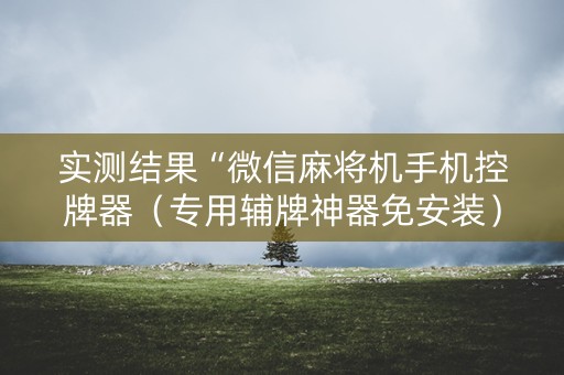 实测结果“微信麻将机手机控牌器（专用辅牌神器免安装）