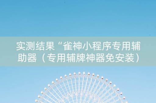 实测结果“雀神小程序专用辅助器（专用辅牌神器免安装）