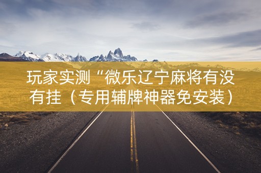 玩家实测“微乐辽宁麻将有没有挂（专用辅牌神器免安装）