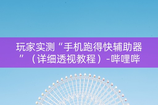 玩家实测“手机跑得快辅助器”（详细透视教程）-哔哩哔哩