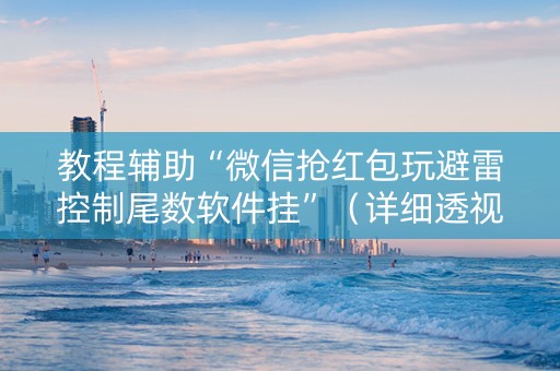 教程辅助“微信抢红包玩避雷控制尾数软件挂”（详细透视教程）-哔哩哔哩
