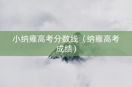 小纳雍高考分数线（纳雍高考成绩）