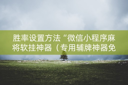 胜率设置方法“微信小程序麻将软挂神器（专用辅牌神器免安装）