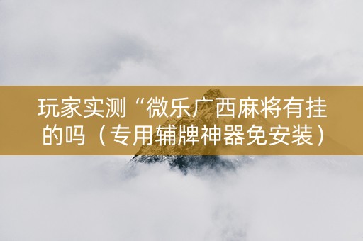 玩家实测“微乐广西麻将有挂的吗（专用辅牌神器免安装）