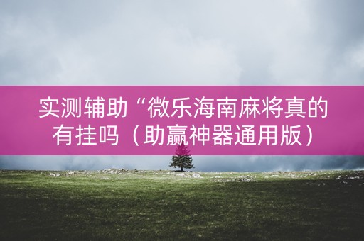 实测辅助“微乐海南麻将真的有挂吗（助赢神器通用版）