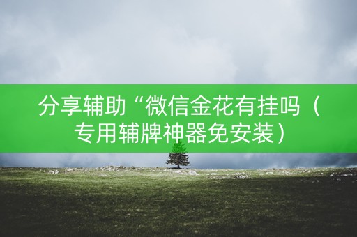 分享辅助“微信金花有挂吗（专用辅牌神器免安装）