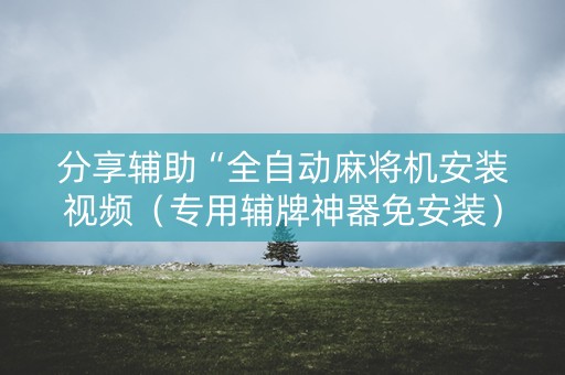 分享辅助“全自动麻将机安装视频（专用辅牌神器免安装）