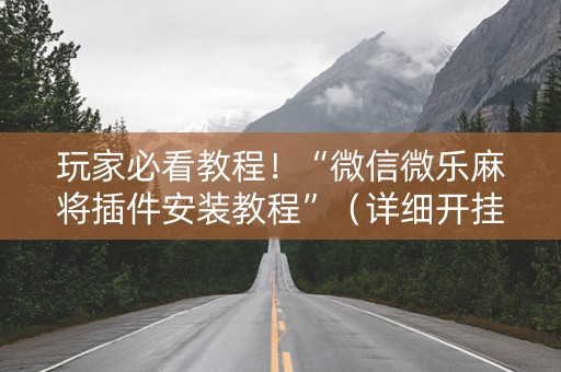 玩家必看教程！“微信微乐麻将插件安装教程”（详细开挂教程）-哔哩哔哩