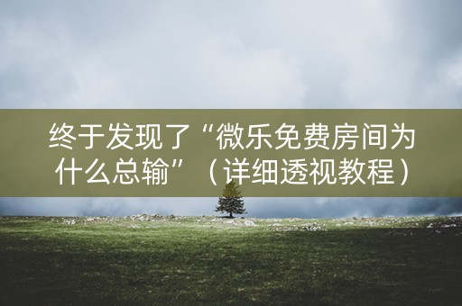 终于发现了“微乐免费房间为什么总输”（详细透视教程）-哔哩哔哩