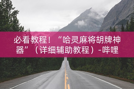必看教程！“哈灵麻将胡牌神器”（详细辅助教程）-哔哩哔哩