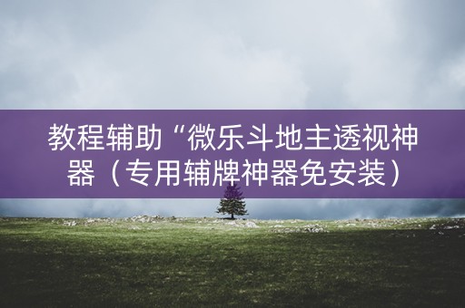 教程辅助“微乐斗地主透视神器（专用辅牌神器免安装）
