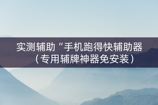 实测辅助“手机跑得快辅助器（专用辅牌神器免安装）