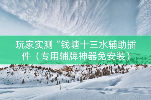 玩家实测“钱塘十三水辅助插件（专用辅牌神器免安装）