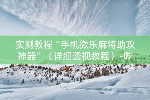 实测教程“手机微乐麻将助攻神器”（详细透视教程）-哔哩哔哩